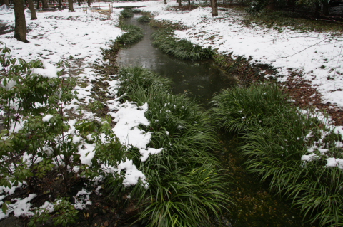 a0024250_23191049.jpg