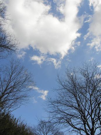c0145250_128086.jpg