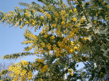 a0085663_043530.jpg