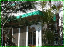 d0083265_23433589.jpg