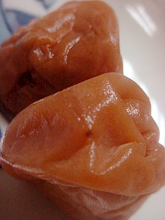 c0069766_0365489.jpg