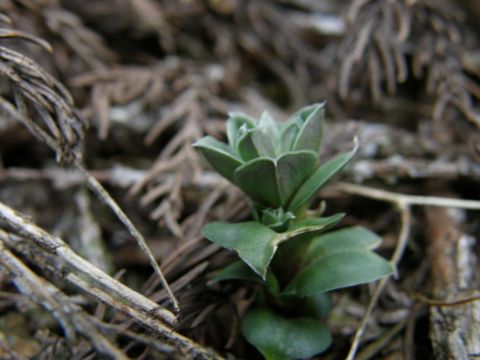 c0042869_20102974.jpg