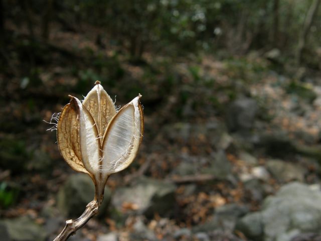 c0042869_20122317.jpg