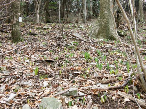 c0042869_20124354.jpg