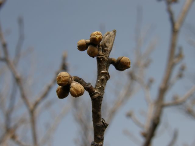 c0042869_20135050.jpg