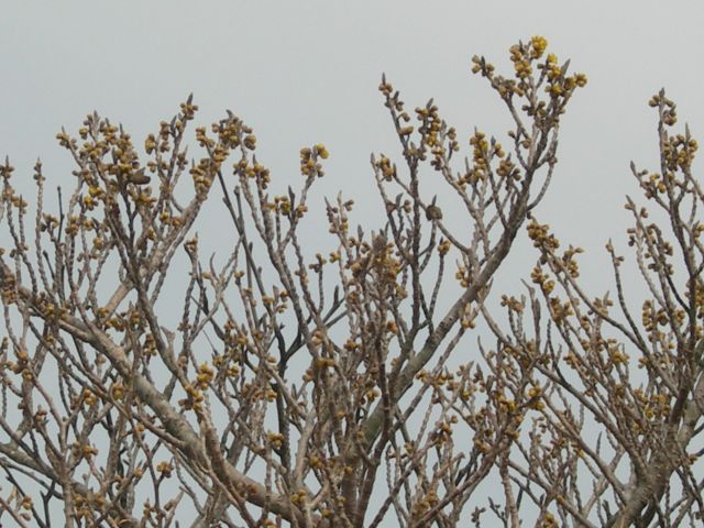 c0042869_2013557.jpg