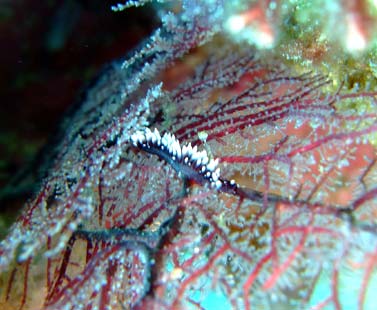 b0033573_16553912.jpg