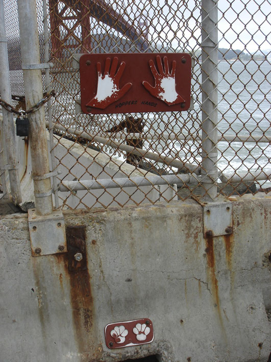 e0045074_2019320.jpg