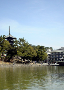 c0029281_222588.jpg