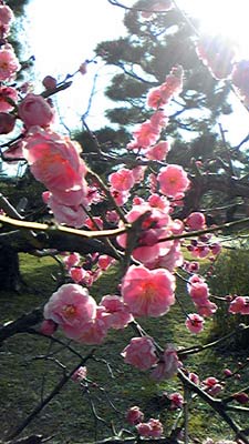 f0023482_2129596.jpg