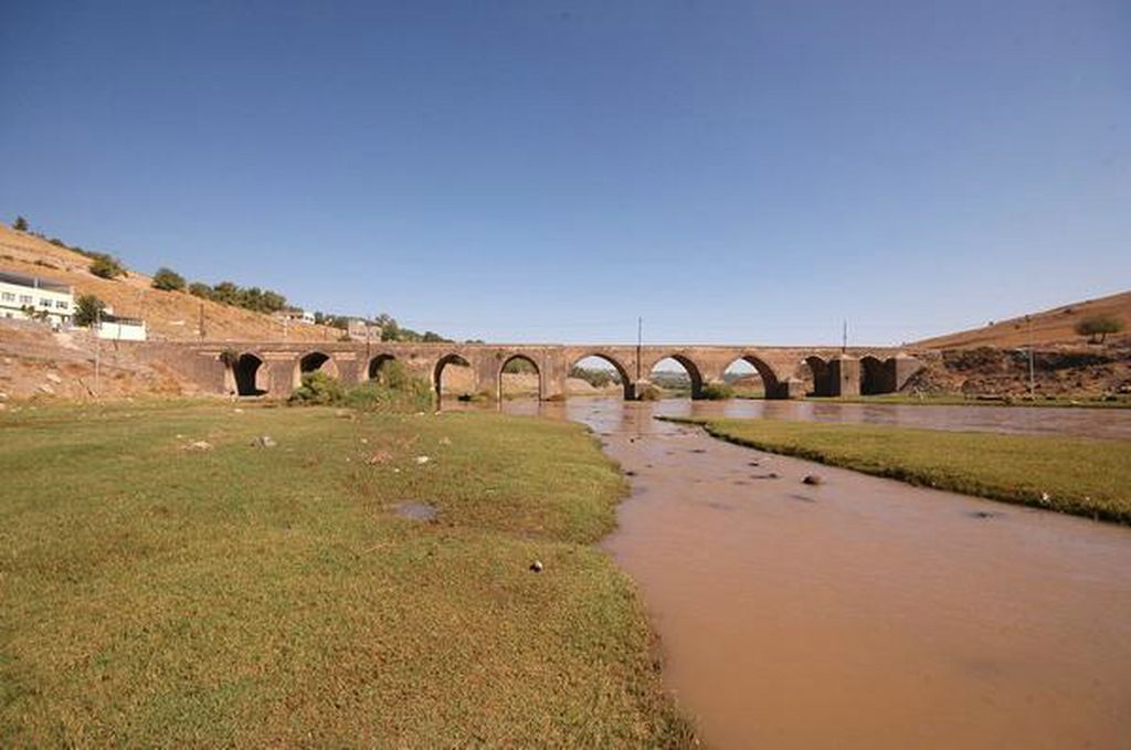 e0132190_5573221.jpg