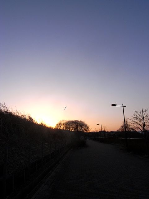 a0093592_15304412.jpg