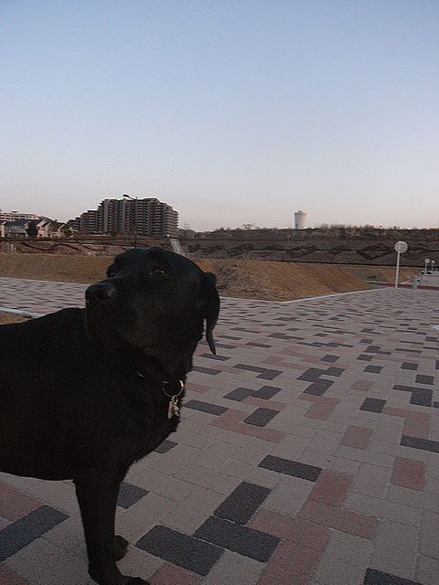 a0093592_15555256.jpg
