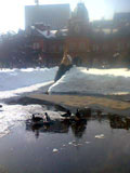 c0032392_17154076.jpg