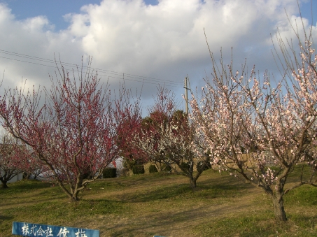 f0121293_752236.jpg