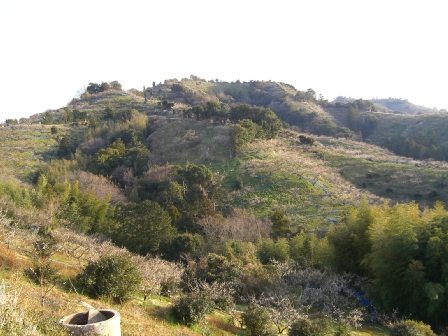 f0121293_7523111.jpg