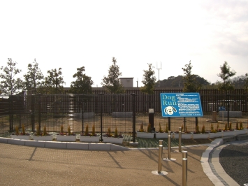 f0121293_754727.jpg