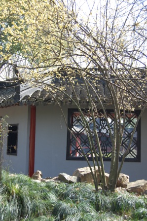 d0090300_19575142.jpg