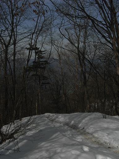 b0116703_0342964.jpg