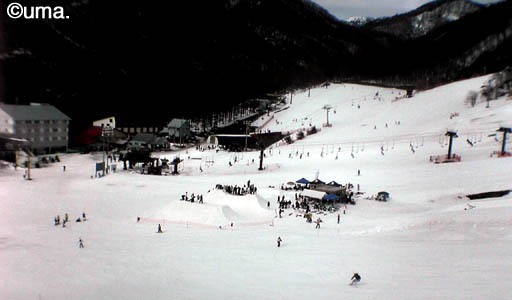 b0061004_21321214.jpg