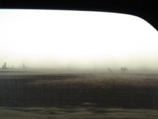 c0049105_9542999.jpg