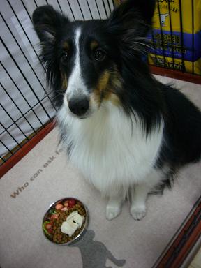 e0130008_230345.jpg