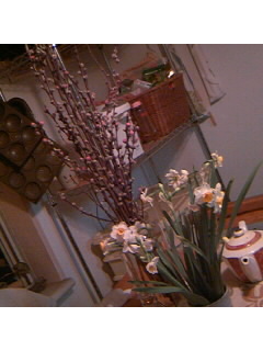 f0009509_1952174.jpg