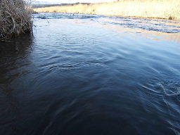 f0079411_17534052.jpg