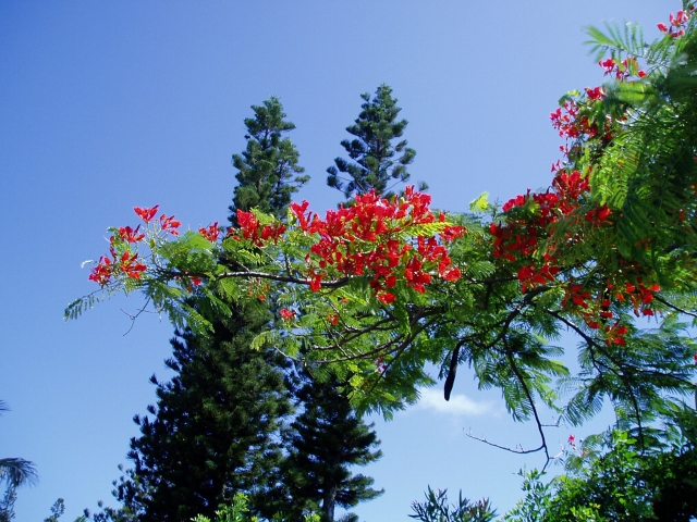 a0000014_22351951.jpg