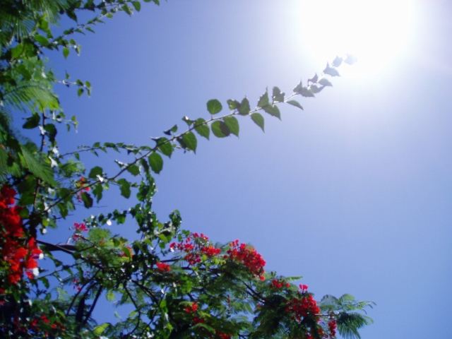 a0000014_2236299.jpg