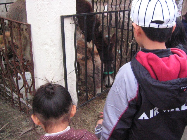 e0125722_10423980.jpg