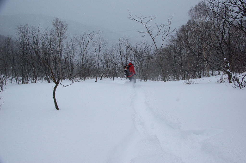 b0062024_212869.jpg