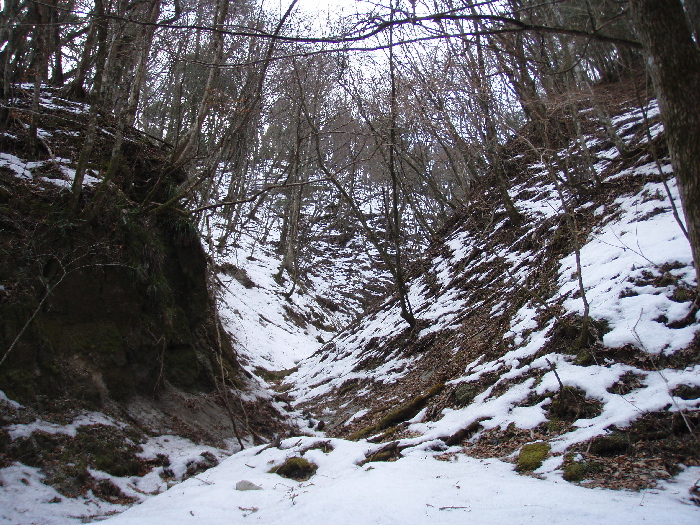 f0103126_20521589.jpg