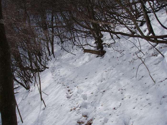 f0103126_2053723.jpg