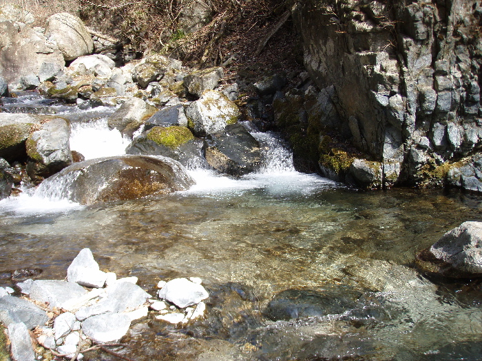 f0103126_2142249.jpg