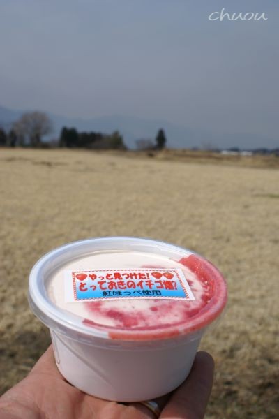 f0146531_2331139.jpg