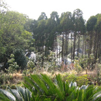 d0033734_12105437.jpg