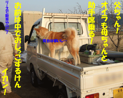 f0008935_2210065.gif
