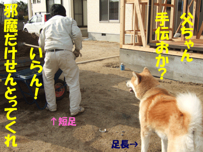 f0008935_2291192.gif