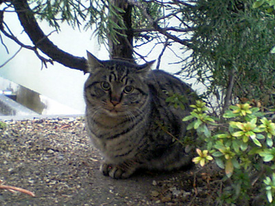 c0132438_239850.jpg