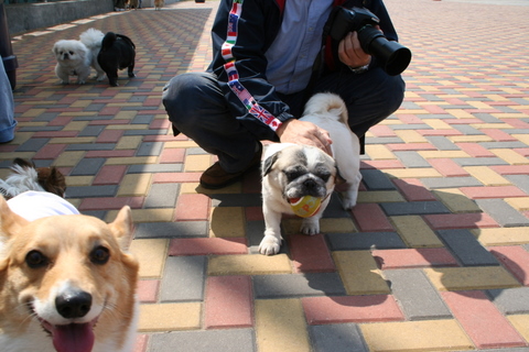 e0018143_1293350.jpg