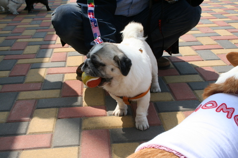 e0018143_130667.jpg