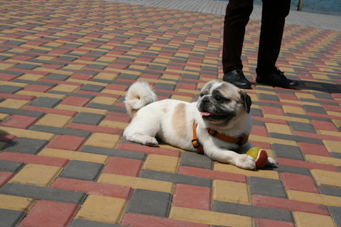 e0018143_1332270.jpg