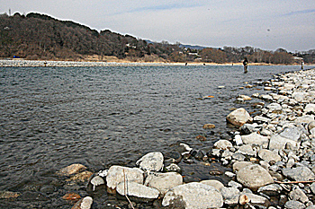 f0055244_1930153.jpg