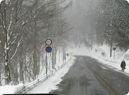 f0096147_23281097.jpg