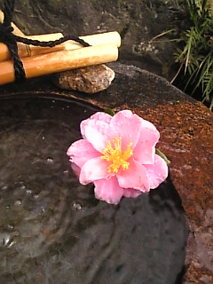 c0069552_9555362.jpg