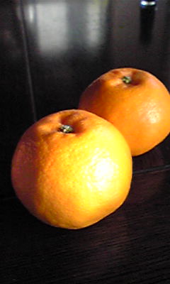 c0076652_17363610.jpg