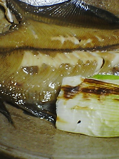 e0085052_11554051.jpg