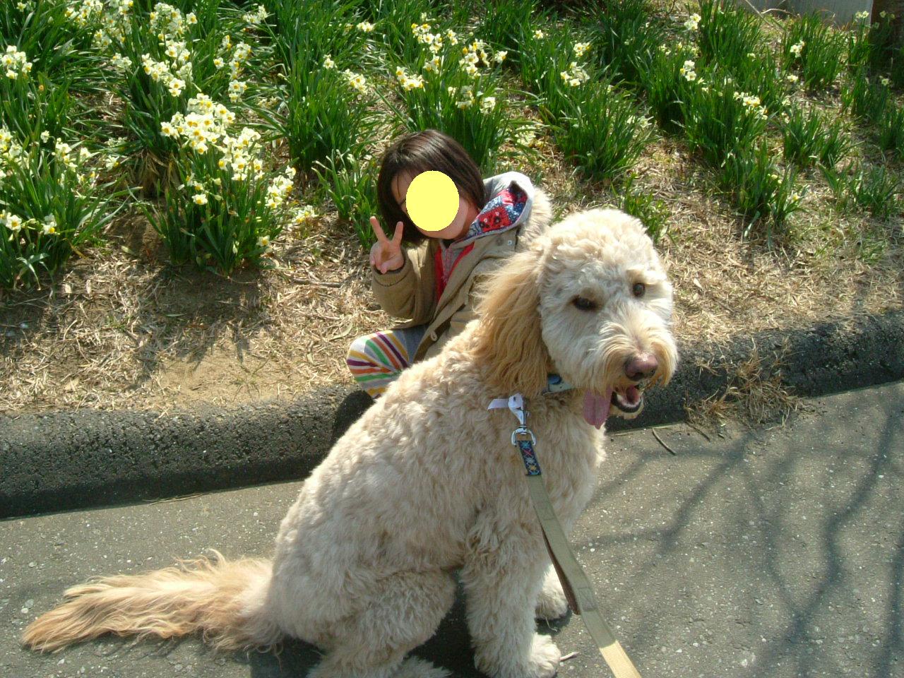 c0082567_083372.jpg