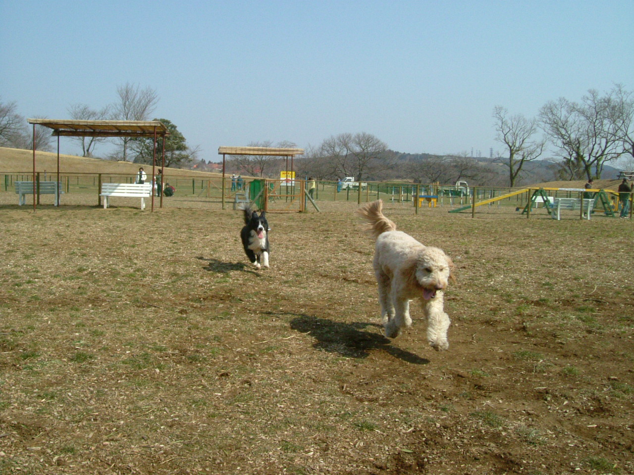 c0082567_091515.jpg